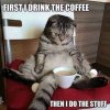 cat and coffee.jpg