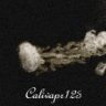 Calivapr123