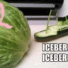 lettucehead