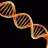 DoubleHelix